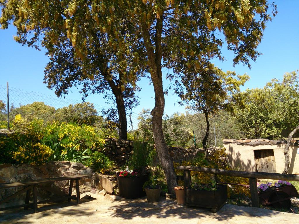 בית הארחה Los Navalucillos 	Valdolazaro מראה חיצוני תמונה